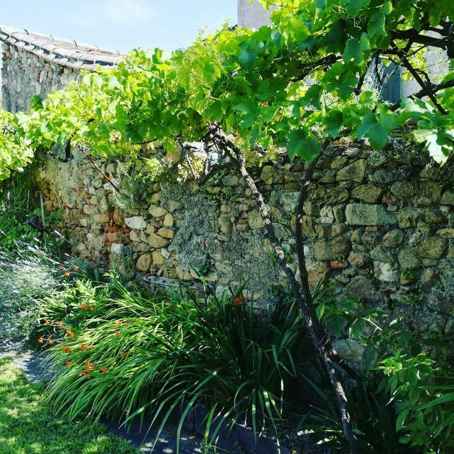 Gîte Maison de l'Abbé Sorèze Extérieur photo